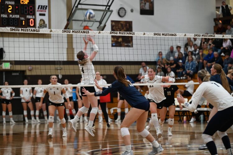 Searching for persistency News, Sports, Jobs Marshall Independent